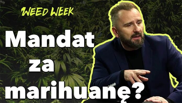 WeedWeek #17 - czyli liroy o mandacie za posiadanie marihuany