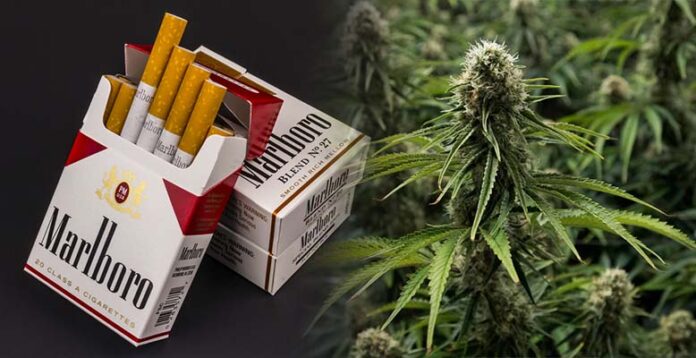 Altria - producent papierosów Marlboro inwestuje w producenta marihuany Cronos Group