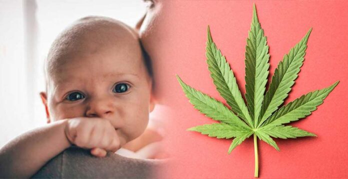 Legalizacja marihuany prowadzi do wzrostu liczby narodzin dzieci