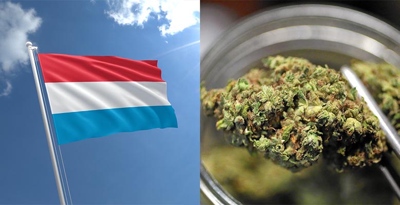 Luksemburg legalizuje marihuanę rekreacyjną