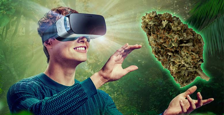 Zakup Marihuany w wirtualnej rzeczywistości