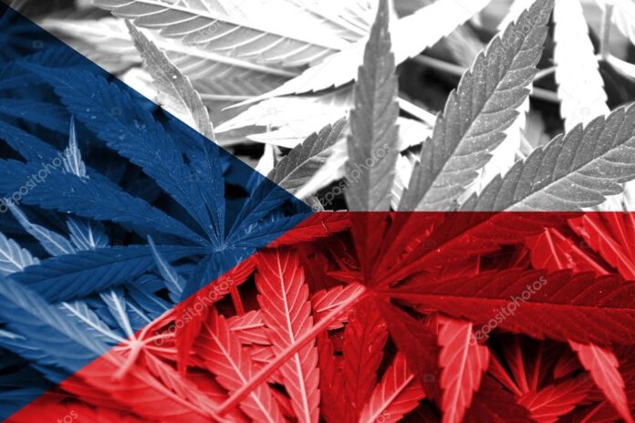 Czechy: Ministerstwo Zdrowia proponuje 90-cio procentową refundację medycznej marihuany