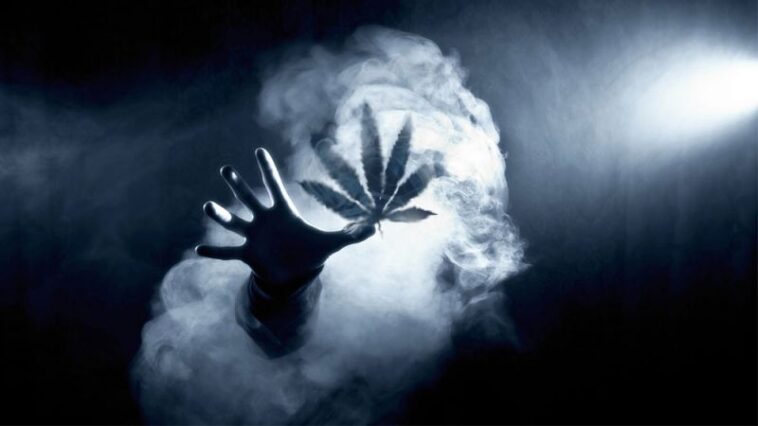 Jak Rzucic Palenie Marihuany 6 Praktycznych Rad Dla Uzaleznionych Faktykonopne Pl