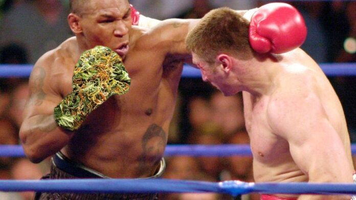 Mike Tyson przyznał, że palił marihuanę przed walką z Gołotą