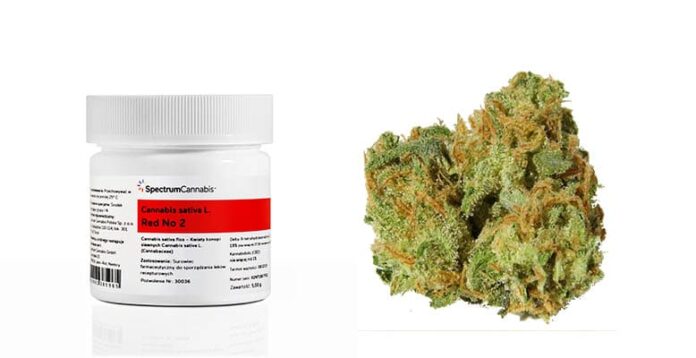 Red No 2 medyczna marihuana już dostępna w aptekach