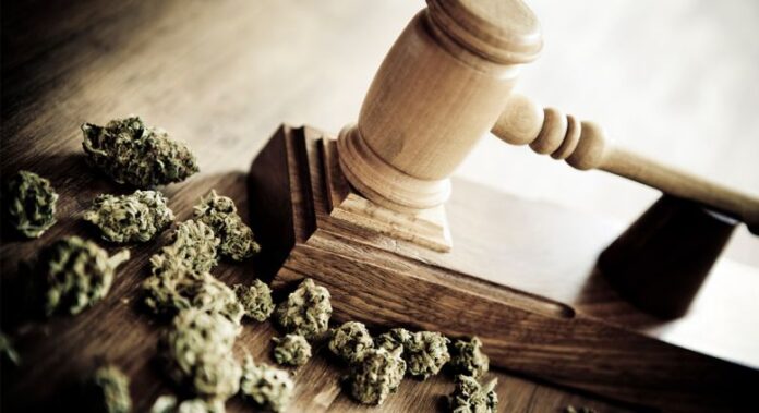 Waszyngton ułaskawi skazanych za marihuanę
