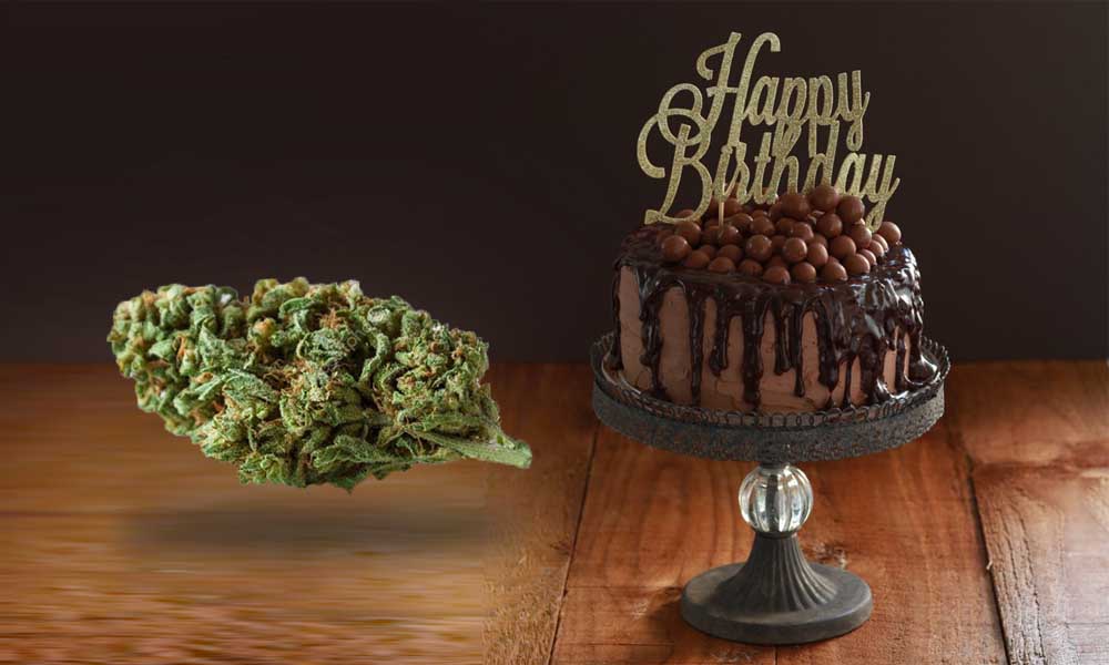 ciasto urodzinowe z marihuana cztery osoby hospitalizowane