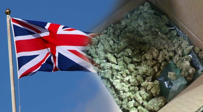 Pierwsza dostawa medycznej marihuany trafiła do Wielkiej Brytanii