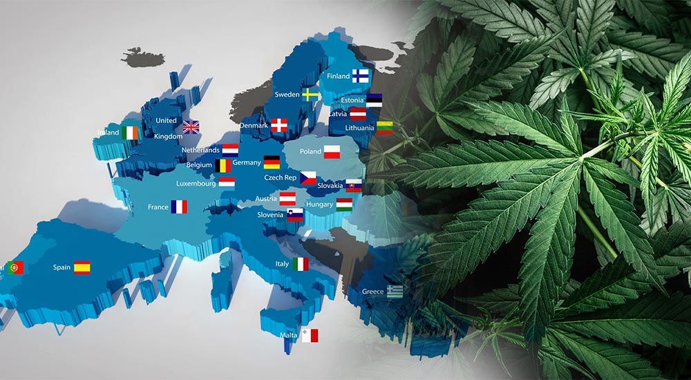 europejski rynek marihuany
