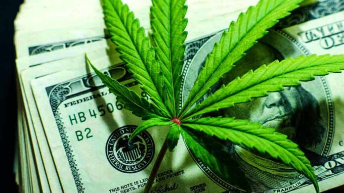 Legalizacja marihuany w USA może wygenerować 86 miliardów przychodu do 2025 roku