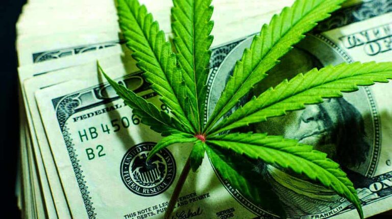 Legalizacja marihuany w USA wygeneruje 86 miliardów dolarów z wpływów podatkowych do 2025r.