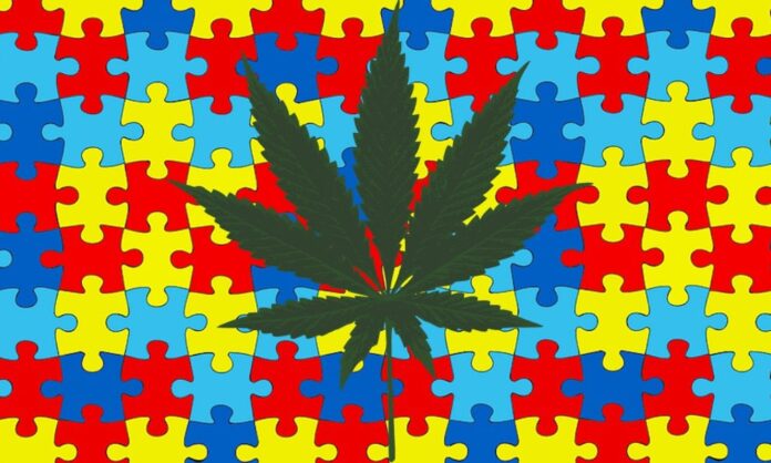Medyczna marihuana przynosi ulgę dzieciom cierpiącym na autyzm
