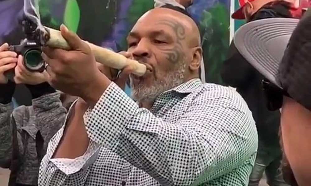 Mike Tyson z gigantycznym jointem na festiwalu marihuany