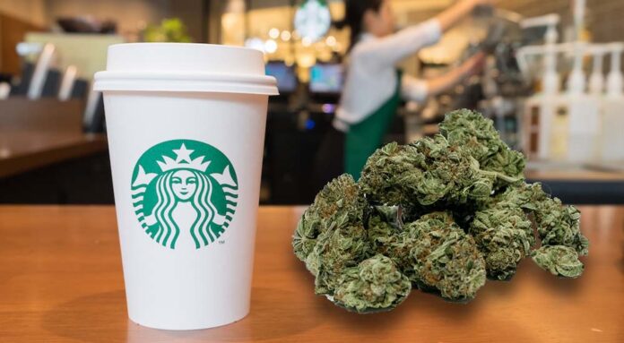Starbucks będzie pierwszą dużą siecią oferującą najpoje z CBD