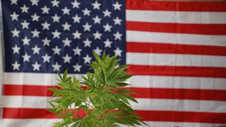 Ustawa numer 420 może zalegalizować marihuanę w całych Stanach Zjednoczonych