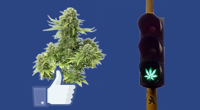 Facebook złagodzi przepisy dotyczące marihuany na platformie społecznościowej