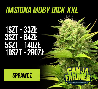 Moby Dick XXL Autoflowering od Dinafem Seeds