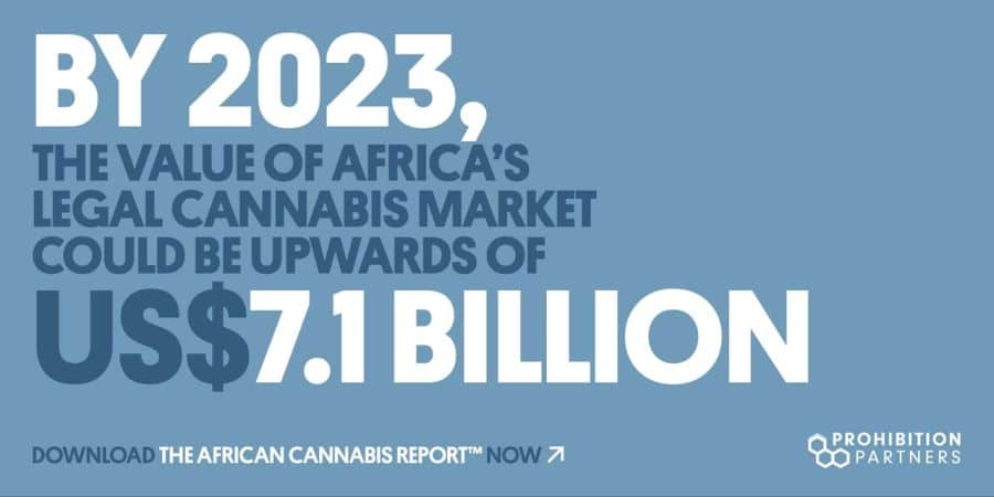 rynek marihuany w afryce