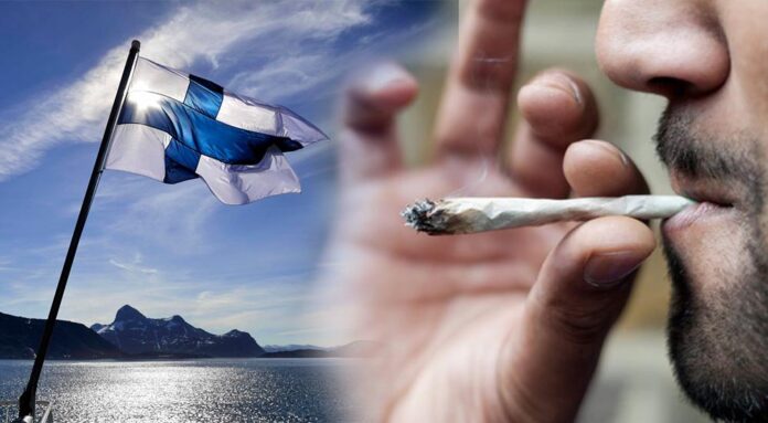 Marihuana w Finlandii jest coraz bardziej popularna