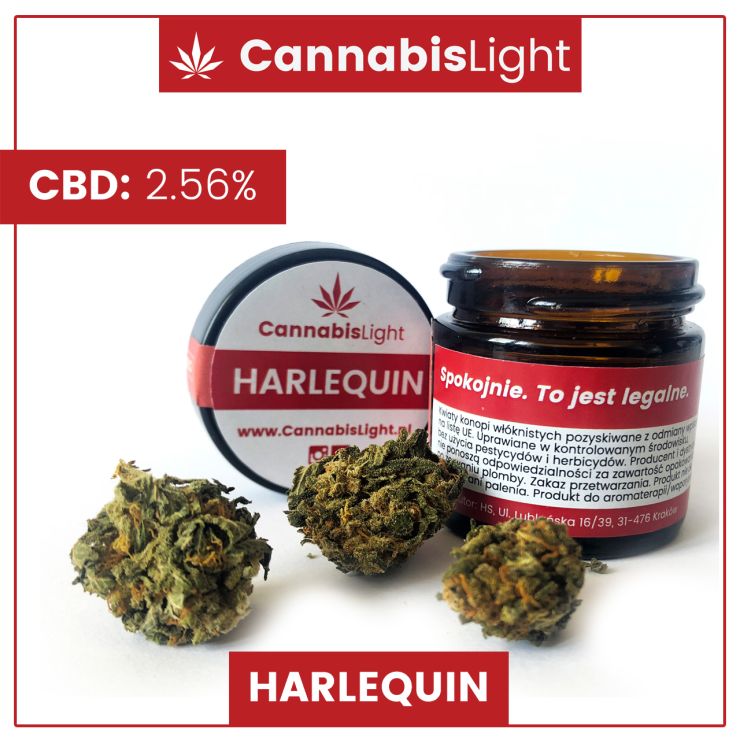 Harlequin CBD - susz z oferty Cannabis Light - już od 36zł/g