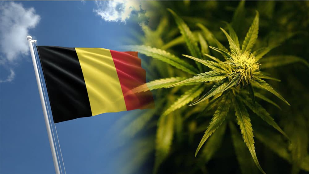 Belgia może zarobić na legalizacji marihuany nawet 144 miliony euro