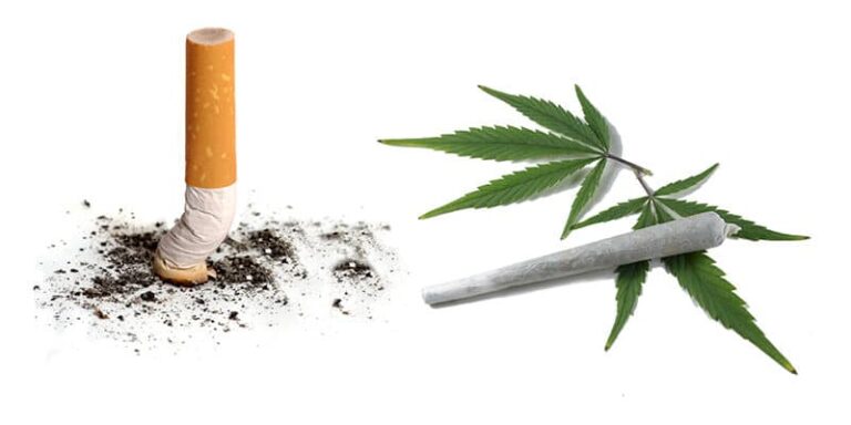Palenie marihuany vs Palenie papierosów – 7 podstawowych różnic