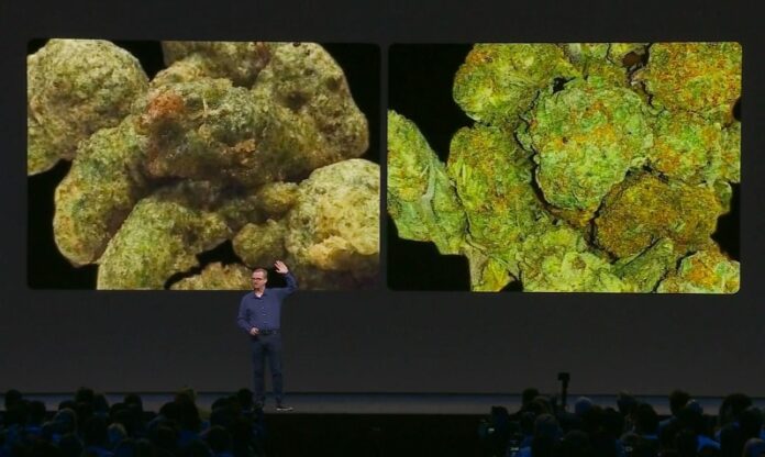 Algorytm Facebooka odróżni marihuanę od brokułów