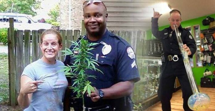 Legalizacja marihuany dała policji czas na walkę z prawdziwymi przestępcami