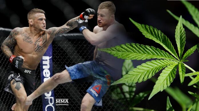 Medyczna marihuana zagości w UFC