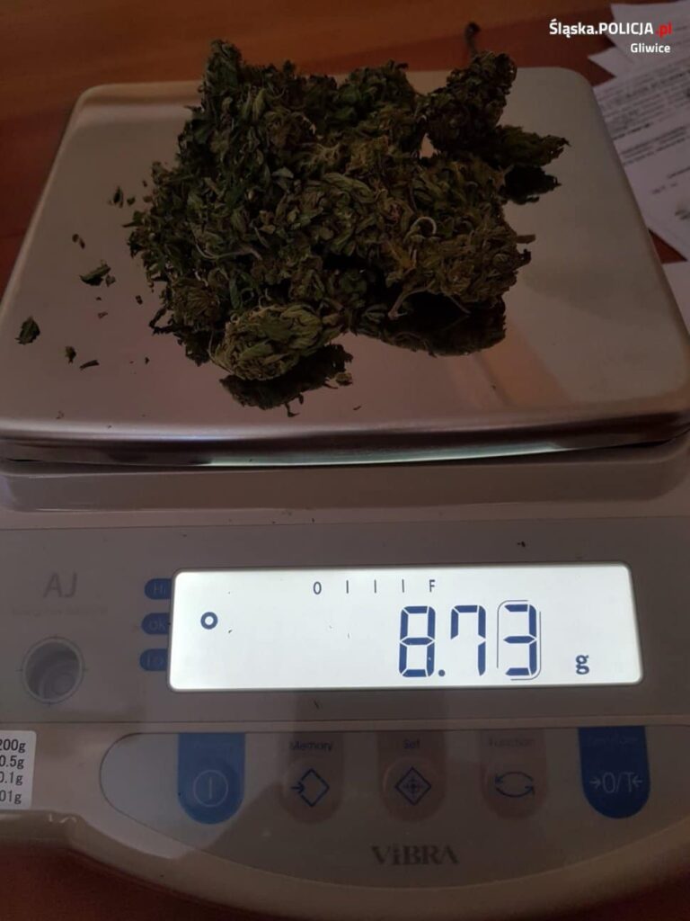 15 gramow marihuany w szkole
