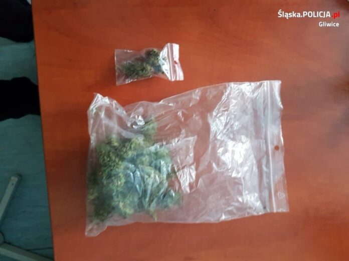 17 latek zatrzymany z 15 gramami marihuany podczas prezentacji psa policyjnego