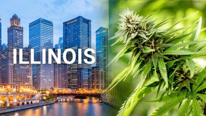 Stan Illinois zalegalizował marihuanę do celów rekreacyjnych