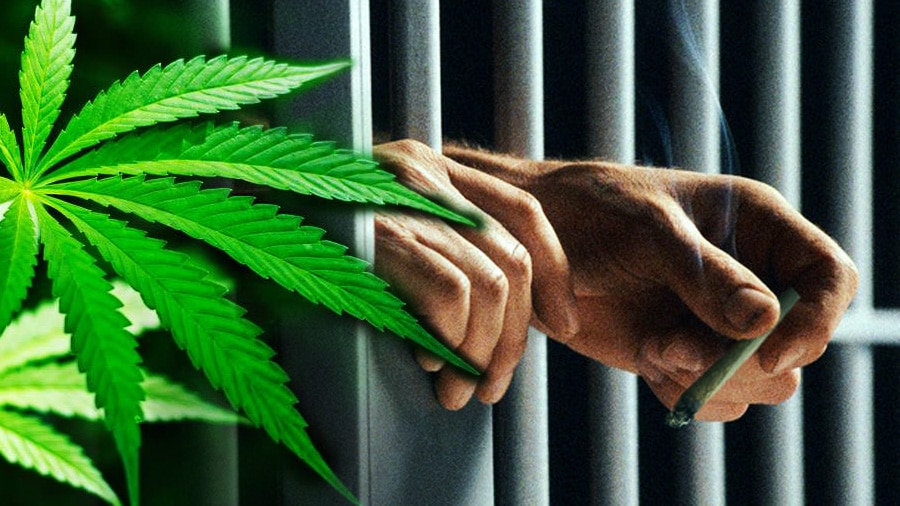 Więźniowie w Kalifornii mogą już legalnie posiadać marihuanę