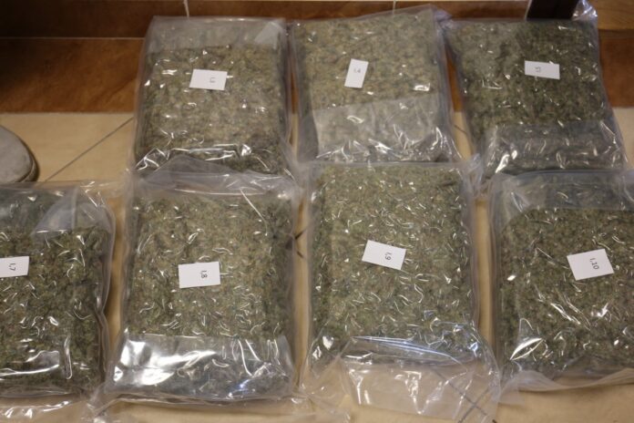 Policja w Lublinie zabezpieczyła 40 kilogramów marihuany