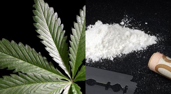 CBD zawarte w konopiach może pomóc w leczeniu uzależnienia od kokainy i metamfetaminy