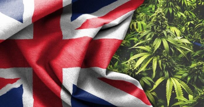 Wielka Brytania może zarobić nawet 3.5 miliarda funtów na legalizacji marihuany