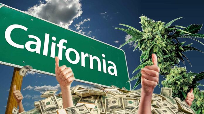 Kalifornia - sprzedaż legalnej marihuany w tym roku przekroczy 3 miliardy dolarów