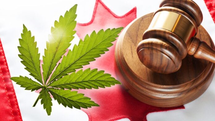 Kanada rozpoczyna przyjmowanie wniosków o ułaskawienie za posiadanie marihuany