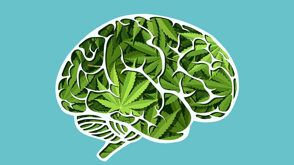 Marihuana poprawia neuroplastyczność mózgu