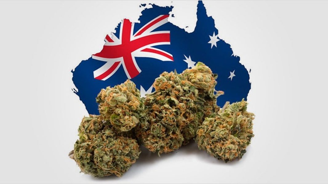 cropped stolica australii legalizuje marihuane