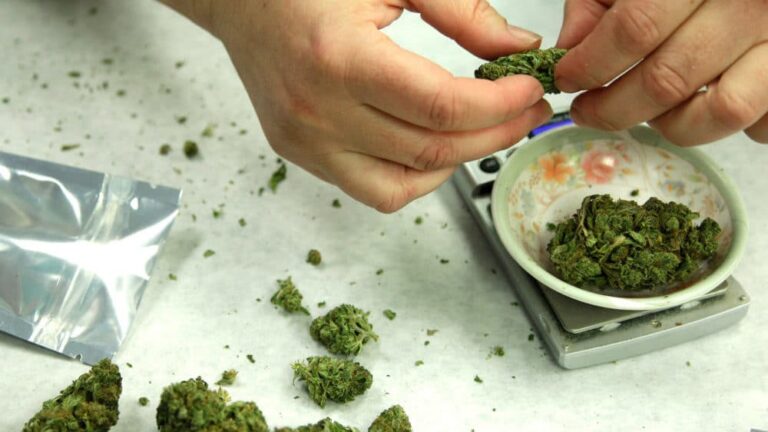 Wielka Brytania powinna zatrudniać byłych dilerów, jeśli kraj zalegalizuje marihuanę – twierdzą eksperci