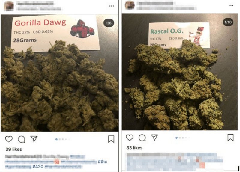 marihuana na instagramie
