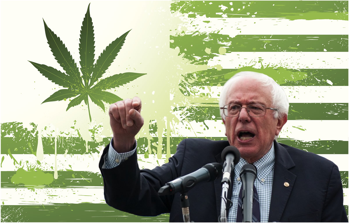 Bernie Sanders zalegalizuje marihuane w ciagu 100 dni
