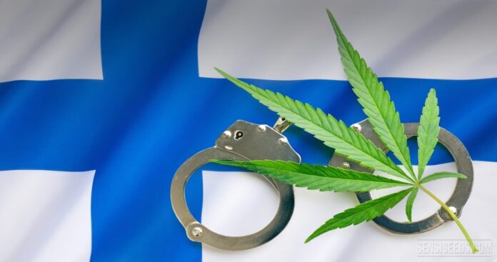 Rząd Finlandii rozważa dekryminalizację marihuany
