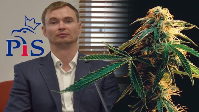 Radny Pis - Jacek Stronka oskarżony o posiadanie marihuany
