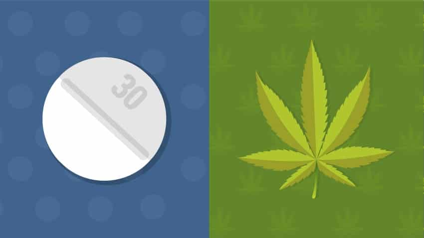 Używanie marihuany ogranicza zażywanie opioidów