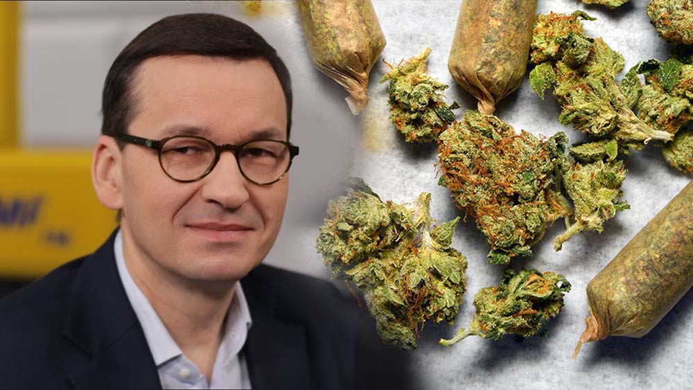 Mateusz Morawiecki o legalizacji marihuany