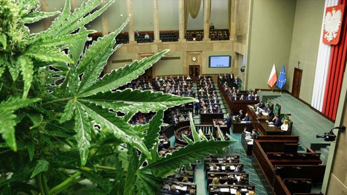 Parlamentarny zespół ds. legalizacji marihuany już ruszył