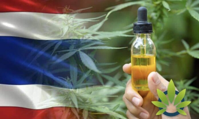 Tajlandia otwiera kliniki leczenia marihuaną. W pierwszy dzień rozdano 400 olejków z konopi
