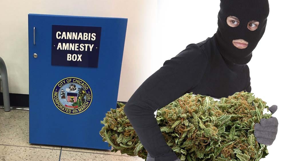 Złodziej ukradł marihuanę z lotniska w Chicago
